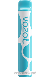 VOZOL vape price 2FXH377 VOZOL JOYGO 600 BLUEBERRY SOUR RASPBERRY