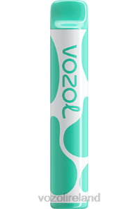 VOZOL vape price 2FXH387 VOZOL JOYGO 600 MENTHOL