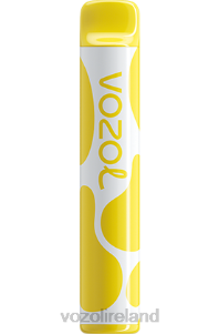 VOZOL vape shop 2FXH383 VOZOL JOYGO 600 LEMON TART
