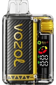 VOZOL vape Ireland 2FXH8 VOZOL VISTA 16000/20000 MANGO ICE