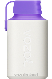 VOZOL vape review 2FXH350 VOZOL GEAR 600 FOREST BERRY ENERGY