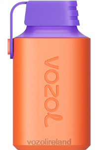 VOZOL vape review 2FXH360 VOZOL GEAR 600 BLACKBERRY ICE