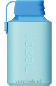 VOZOL vape sale 2FXH361 VOZOL GEAR 600 BLUEBERRY ICE