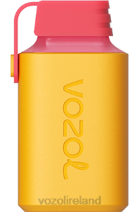 VOZOL vape shop 2FXH363 VOZOL GEAR 600 LEMON LIME