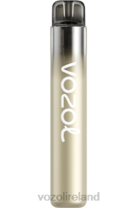 VOZOL vape flavors 2FXH262 VOZOL NEON 800 BANANA ICE