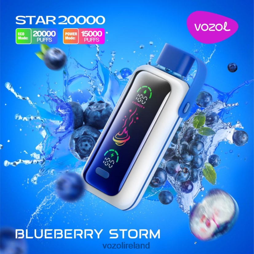 VOZOL Vape Price - VOZOL STAR 20000 V0Z2J45 BLUEBERRY STORM