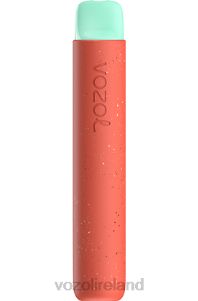 VOZOL vape Ireland 2FXH88 VOZOL STAR 600 LYCHEE GUAVA WATERMELON