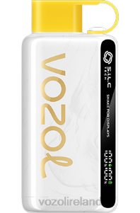 VOZOL vape Dublin 2FXH25 VOZOL STAR 9000/12000 KIWI PASSION FRUIT GUAVA