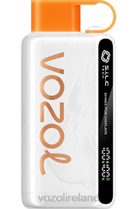 VOZOL vape Ireland 2FXH28 VOZOL STAR 9000/12000 PEACH MANGO WATERMELON