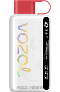 VOZOL vape Ireland 2FXH48 VOZOL STAR 9000/12000 STRAWBERRY RASPBERRY CHERRY