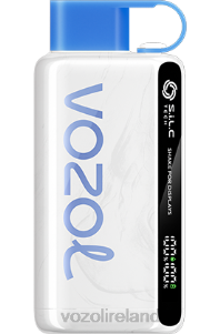 VOZOL vape flavors 2FXH22 VOZOL STAR 9000/12000 BLUEBERRY STORM