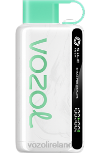 VOZOL vape near me 2FXH34 VOZOL STAR 9000/12000 WATERMELON BUBBLE GUM
